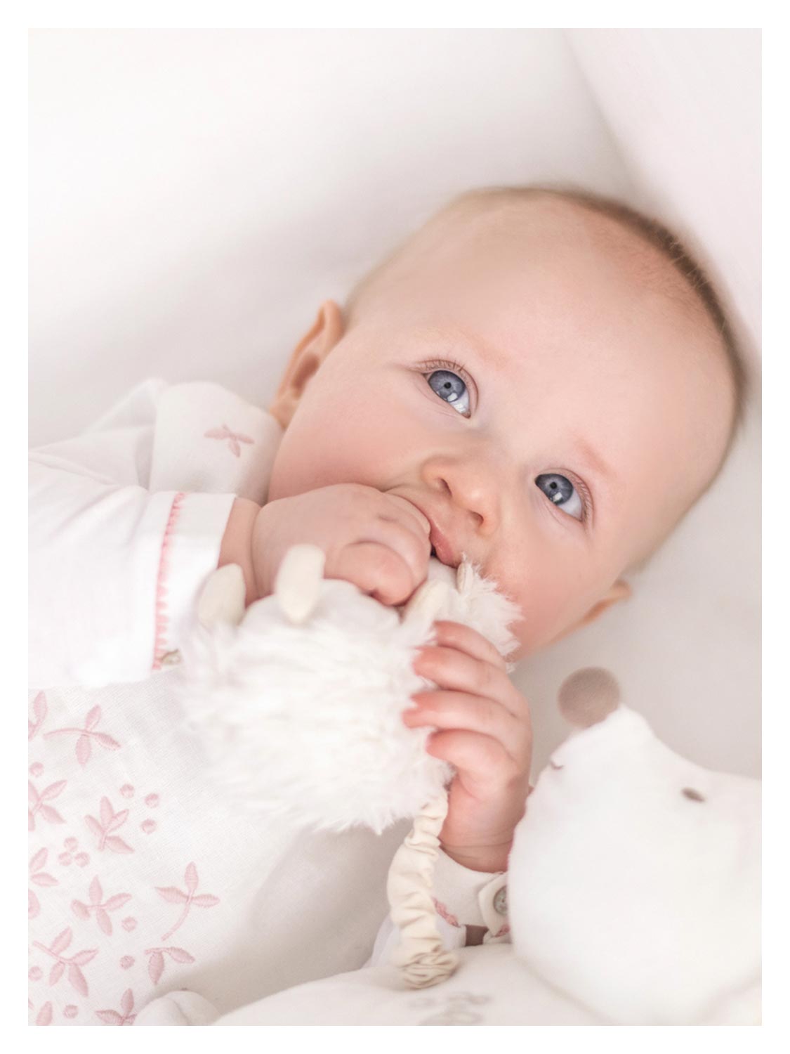 Tartine et Chocolat Kids stuffed animal Hedgehog Leon White in White 1587137137-3302574271-3.jpg | NICKIS.com