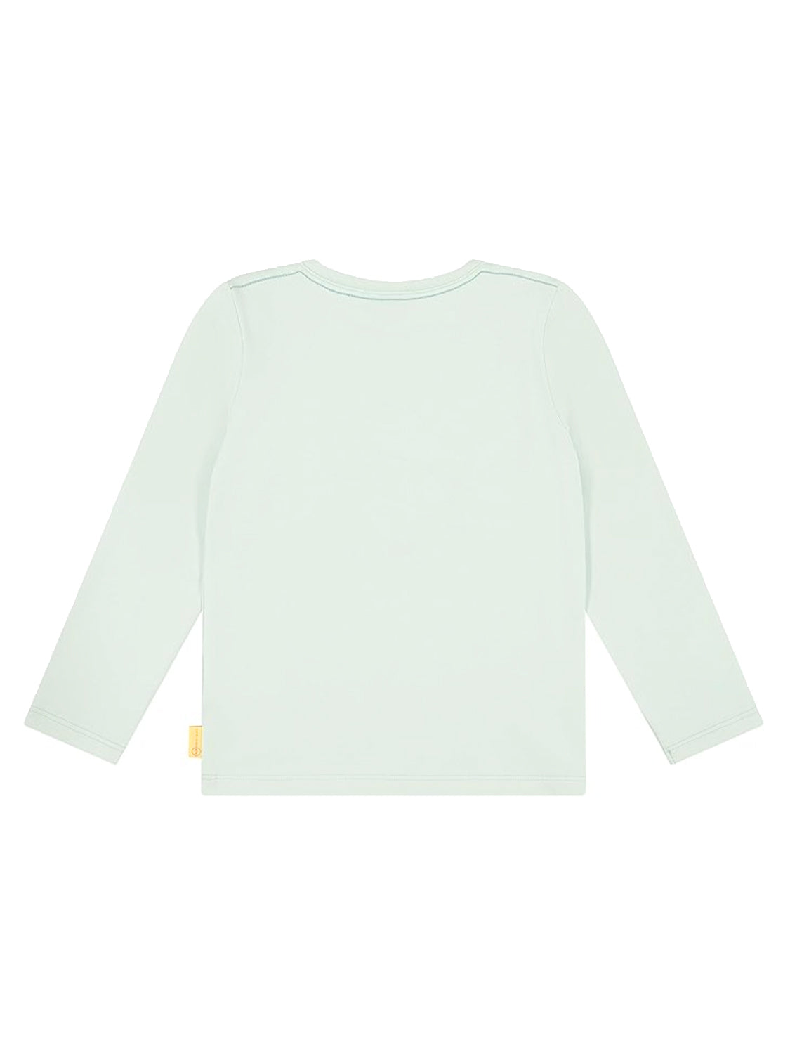 Longsleeve Mintgrün