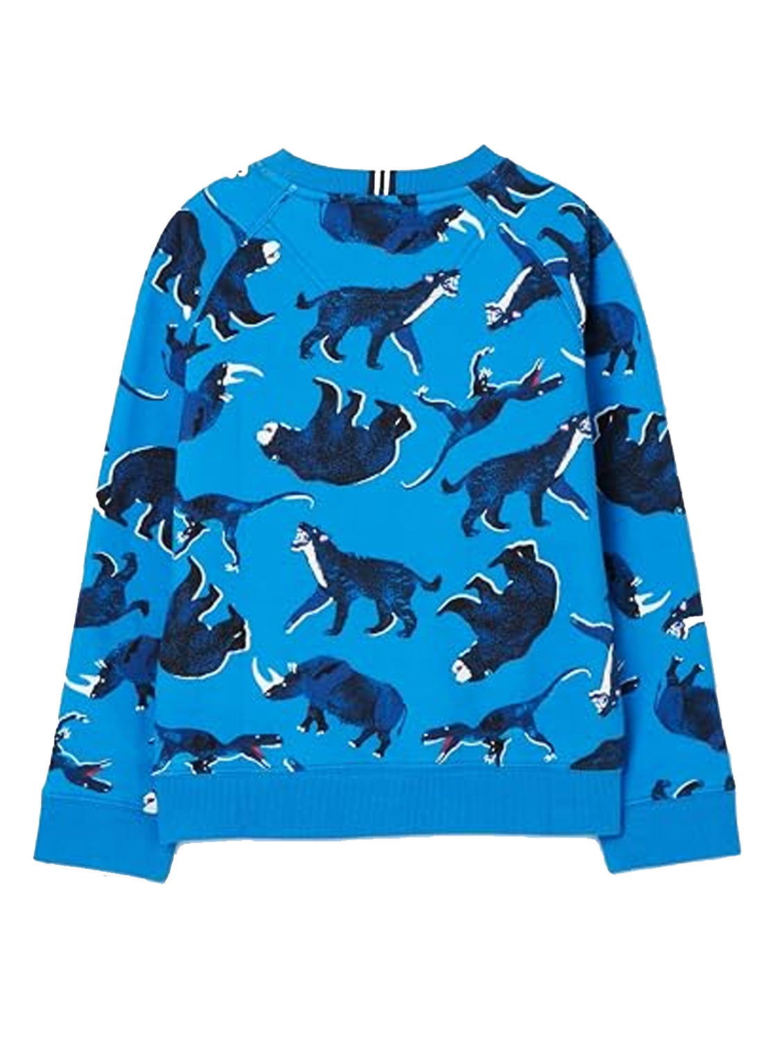 Sweatshirt Blau