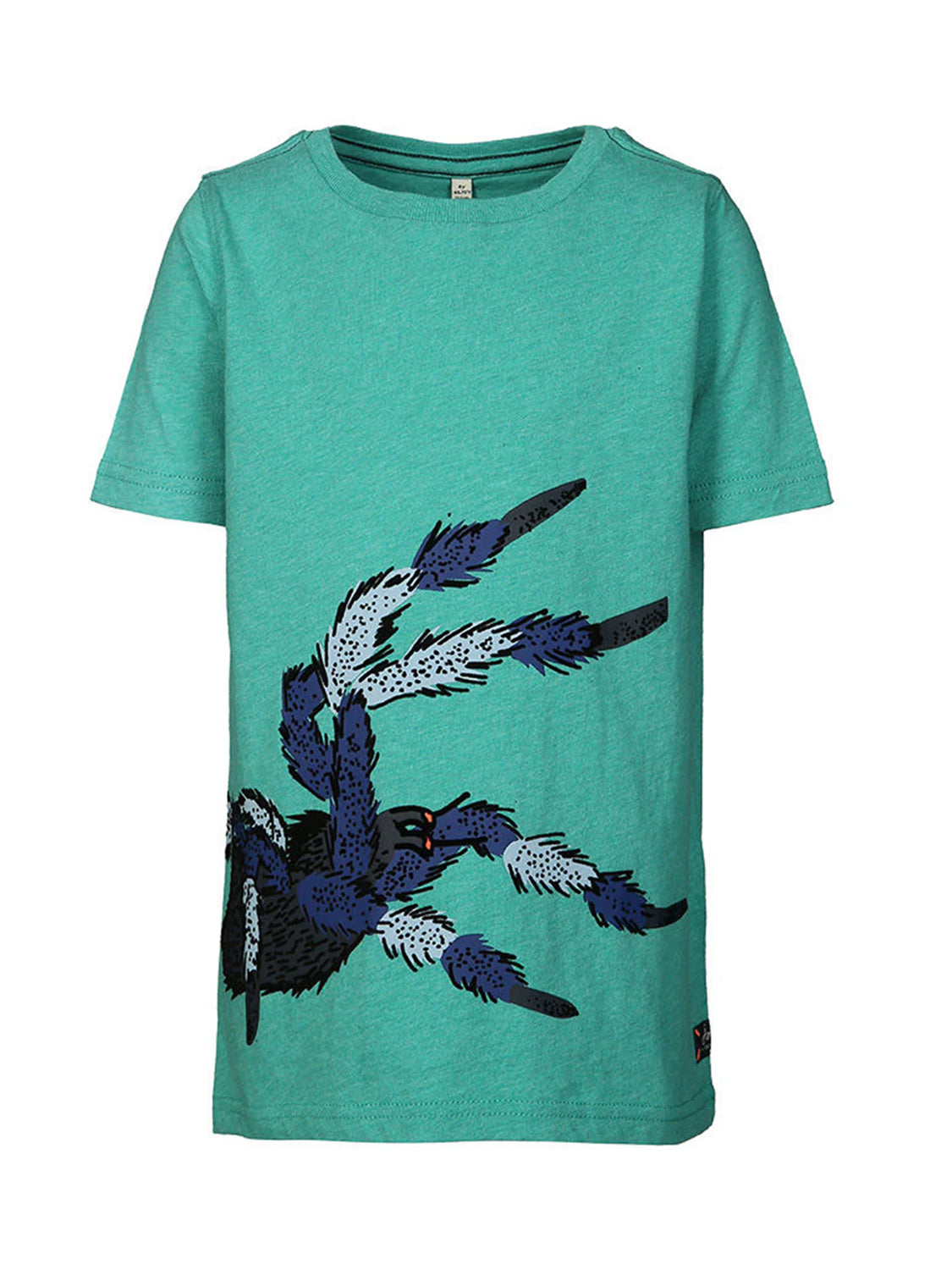 t-shirt Turquoise