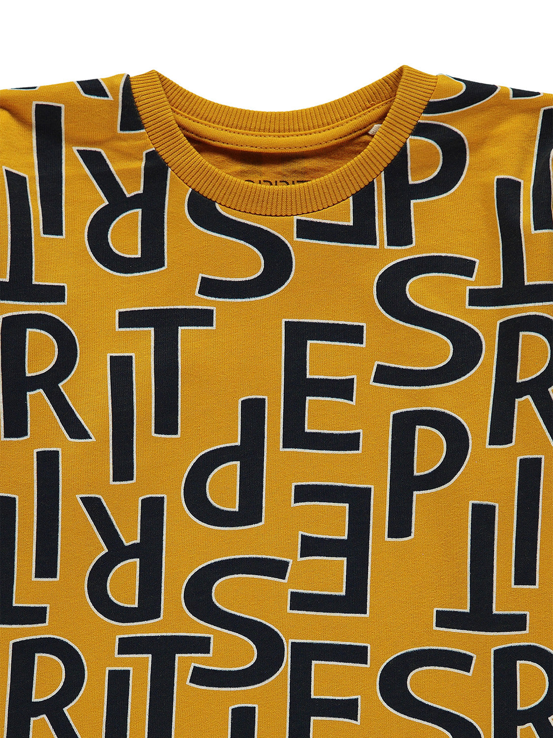 3500136019-3.jpg