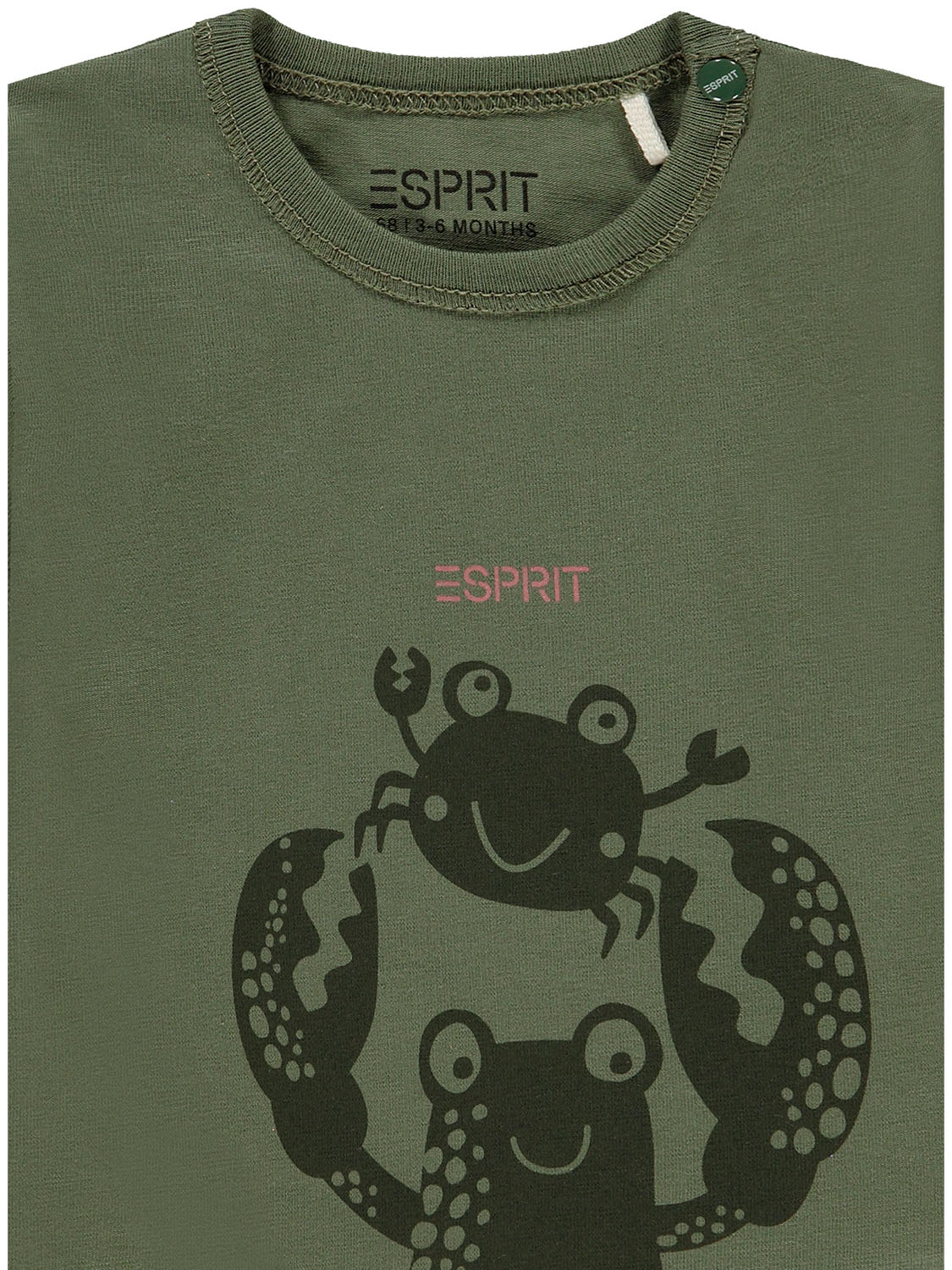 3501476428-7.jpg
