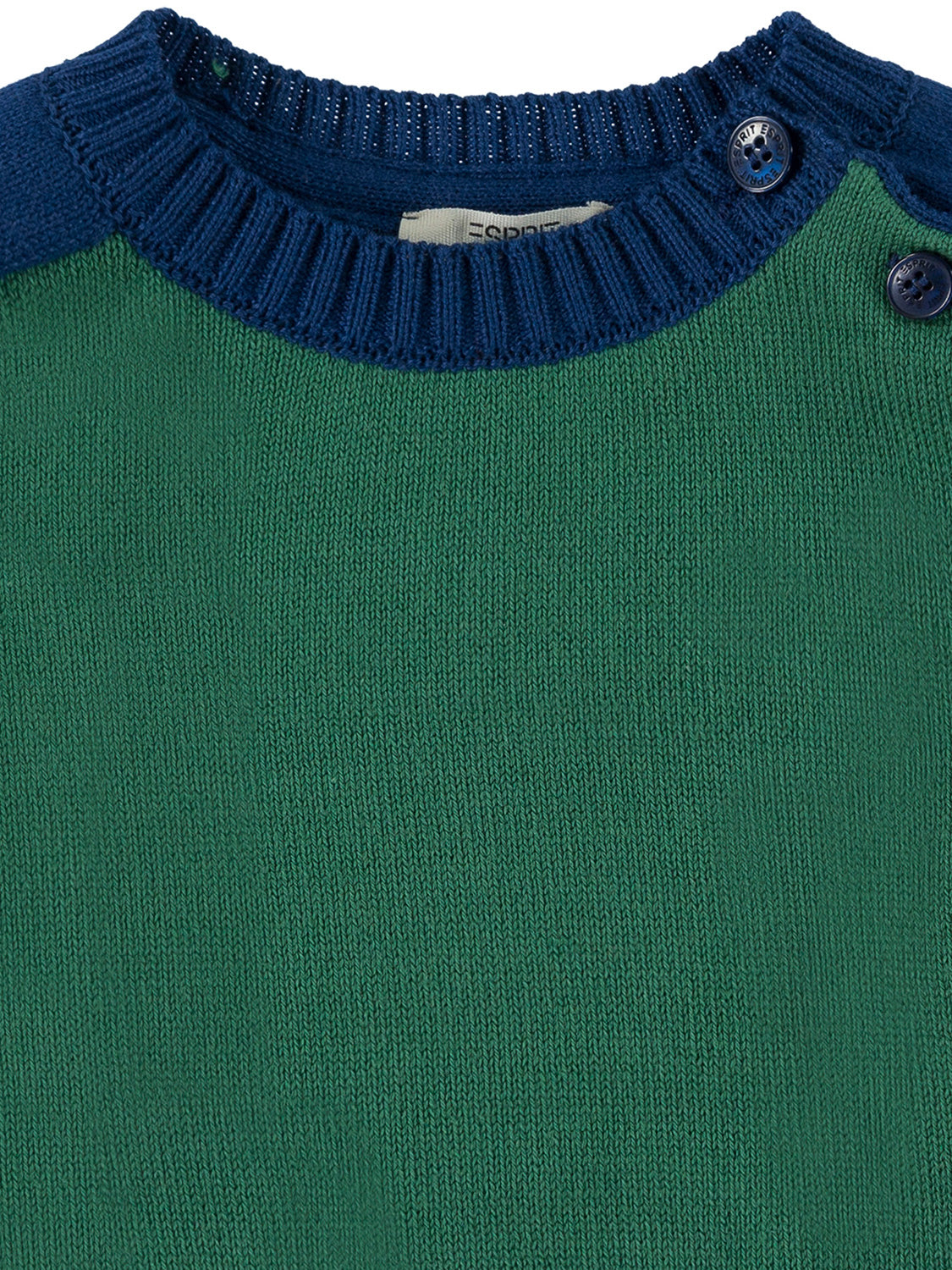 3501664508-3.jpg