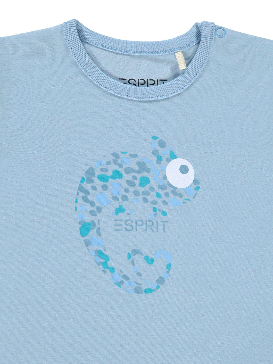 3503987379-7.jpg