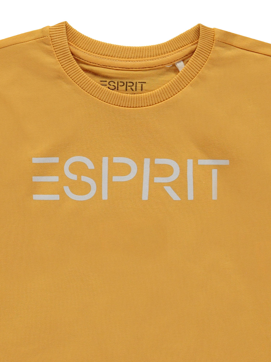 3506779217-7.jpg