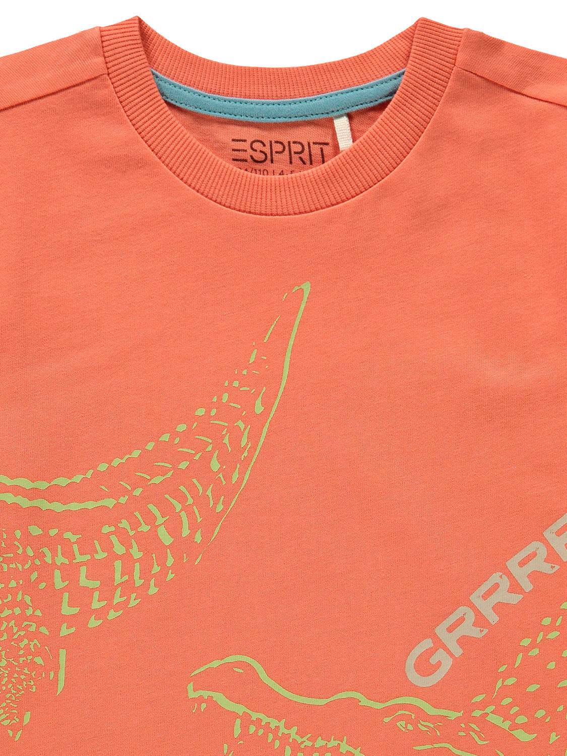 3506984239-7.jpg