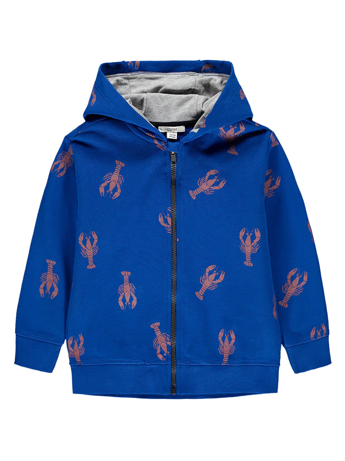 Sweat Jacket Blue
