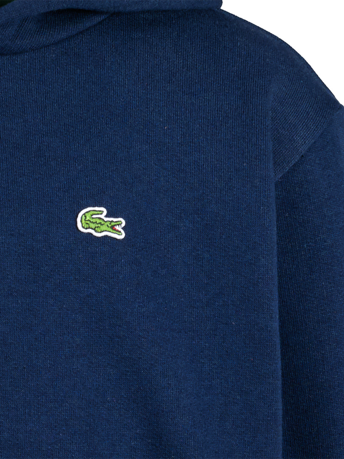 Lacoste Kids hoodie in 6708555007-5.jpg | NICKIS.com