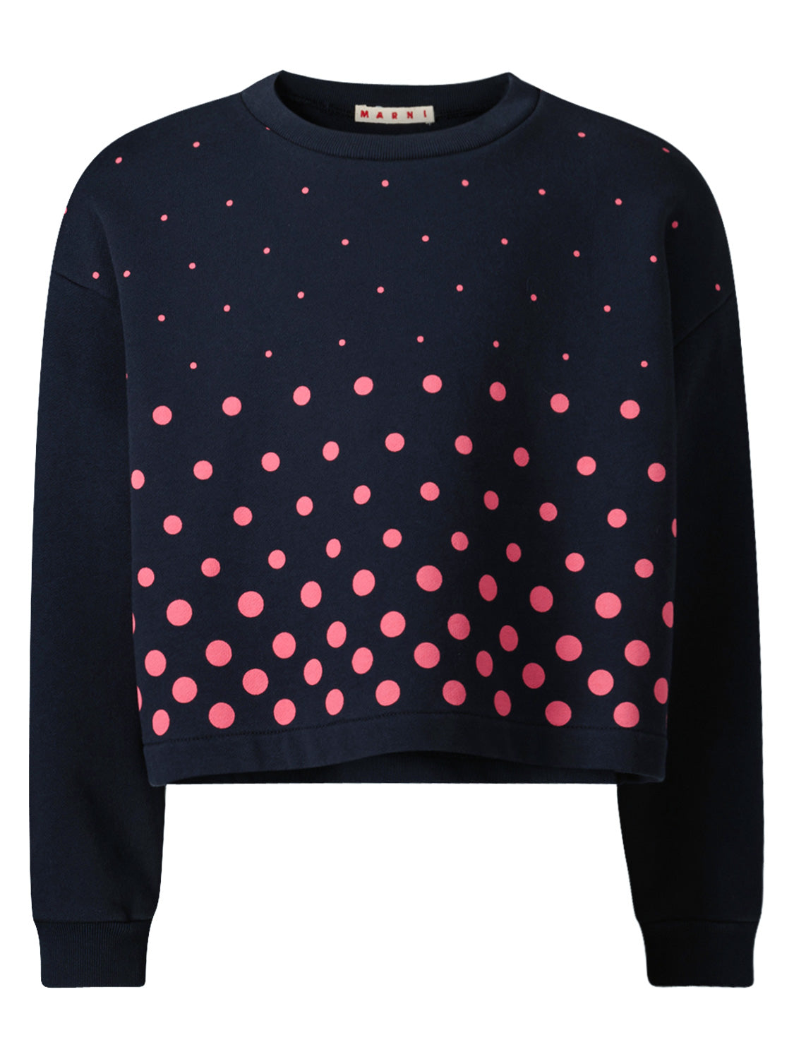 Marni Kids Sweatshirt in 6802495206-1.jpg | NICKIS.com