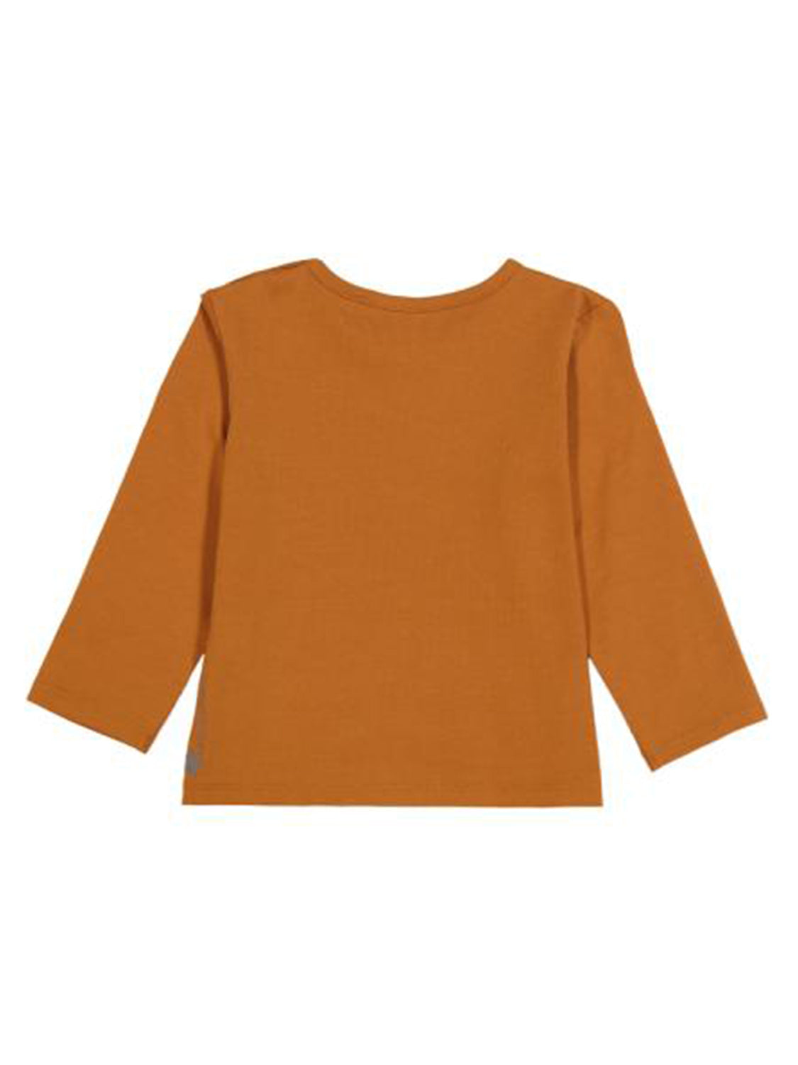 Longsleeve Crazy Dog Camel
