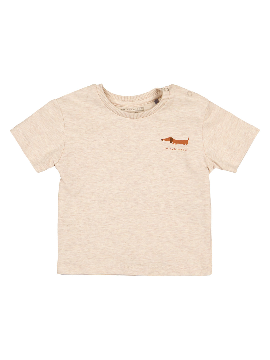 Bellybutton T-shirt Maniche Lunghe Bambino – Cotone Bio – Strisce – Sostenibile E Traspirante