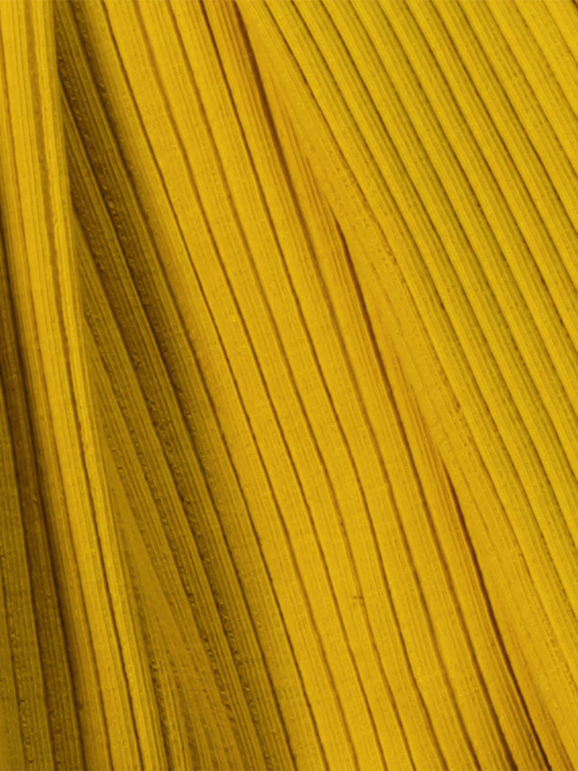 7208444858-7.jpg