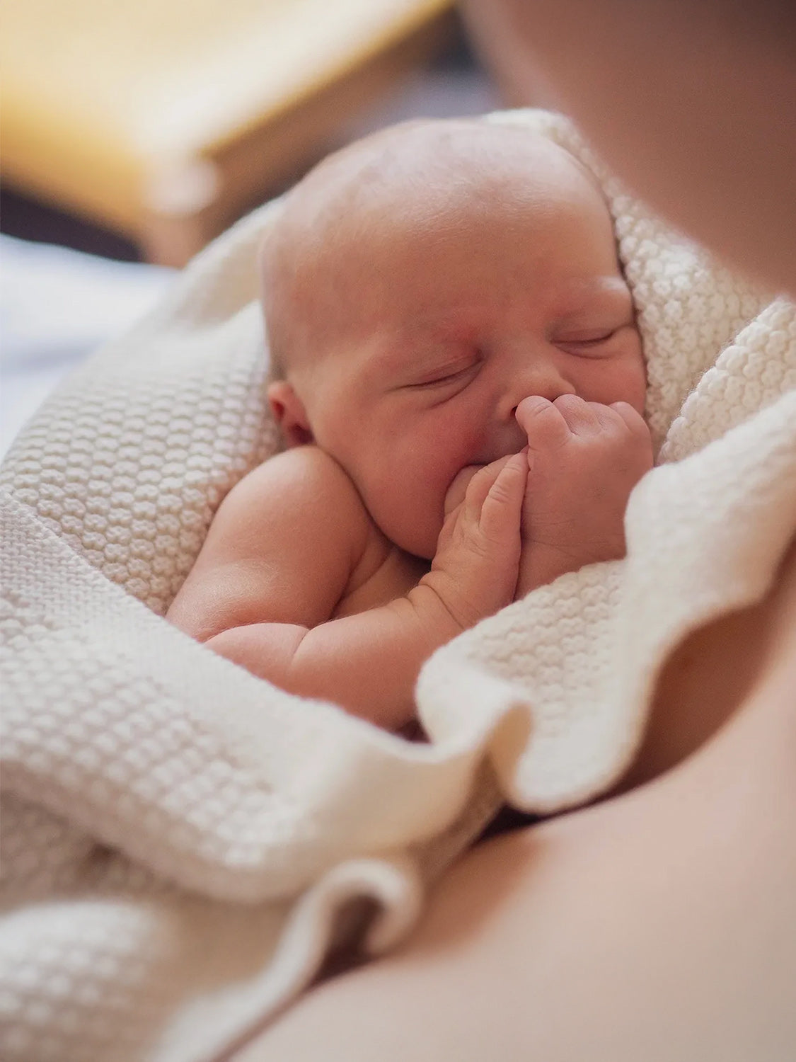 THE WOOLLY BLANKET - pure