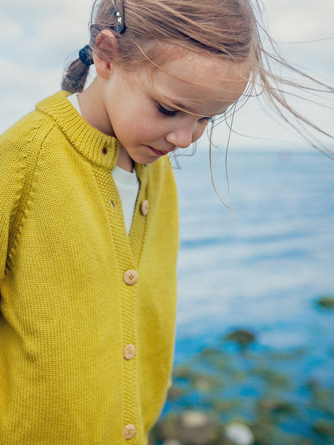 THE WOOLLY CARDIGAN - quince