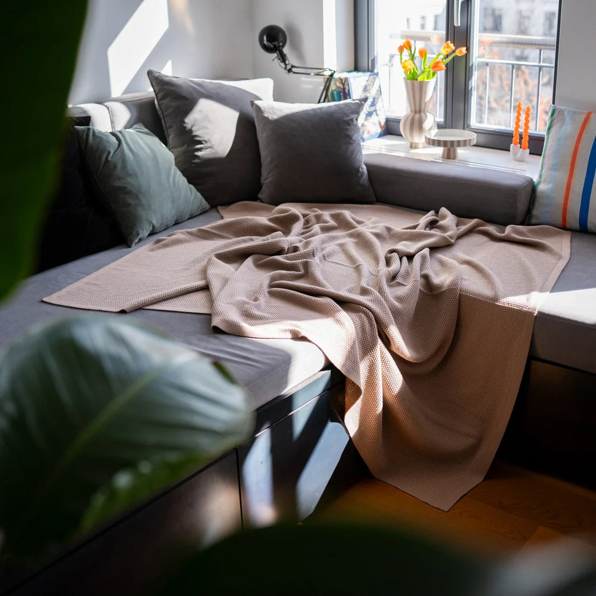THE WOOLLY FAMILY BLANKET - cappuccino