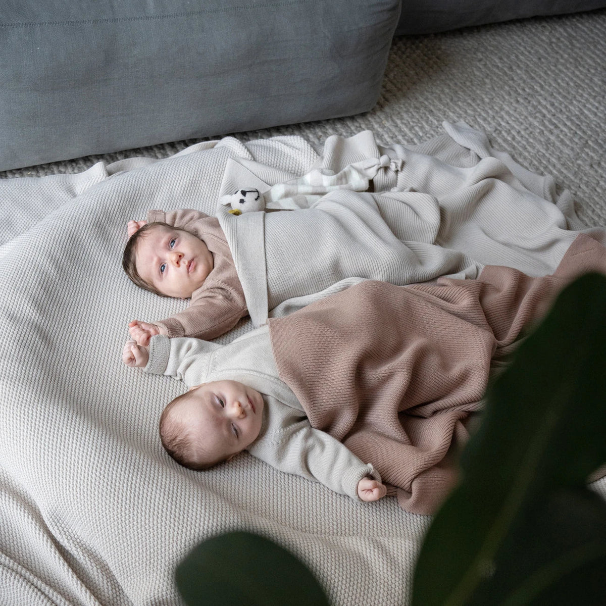 THE WOOLLY RIB BLANKET - rose