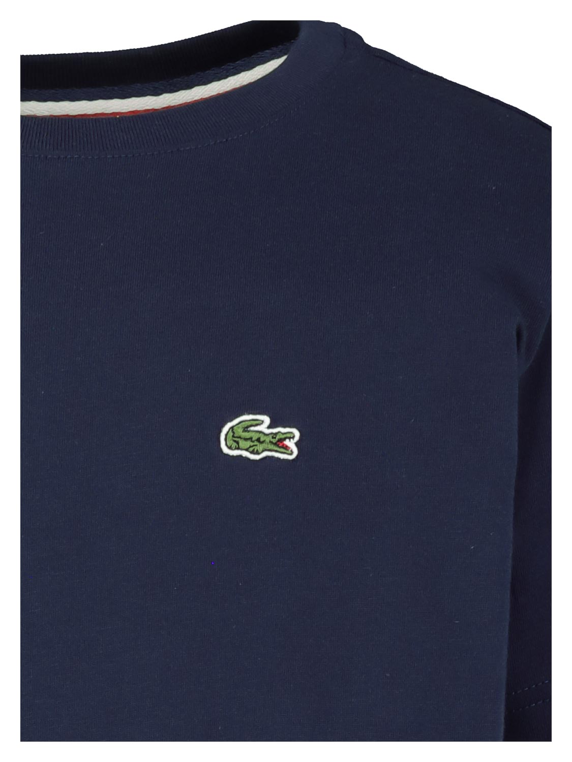 Lacoste Kids t-shirt Blue in Blue 1587033483-3303003135-4.jpg | NICKIS.com