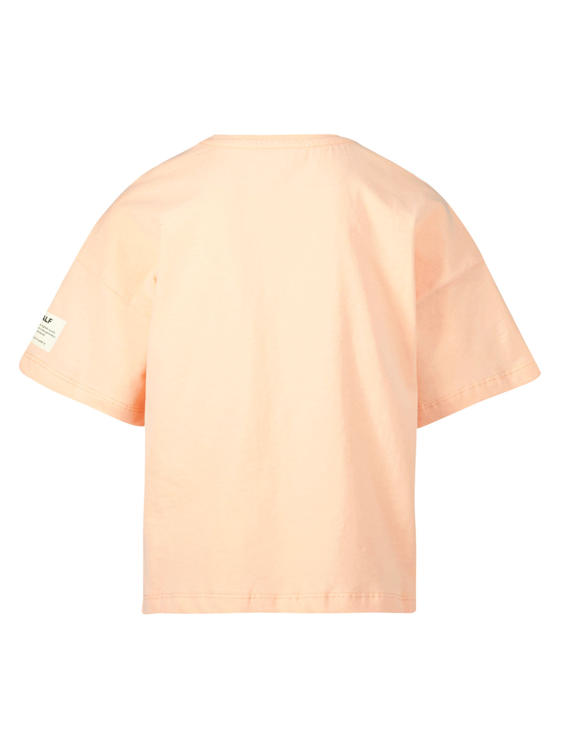 Ecoalf Kids t-shirt Sapiumalf Apricot in Apricot 1678290546-6708993022-4.jpg | NICKIS.com