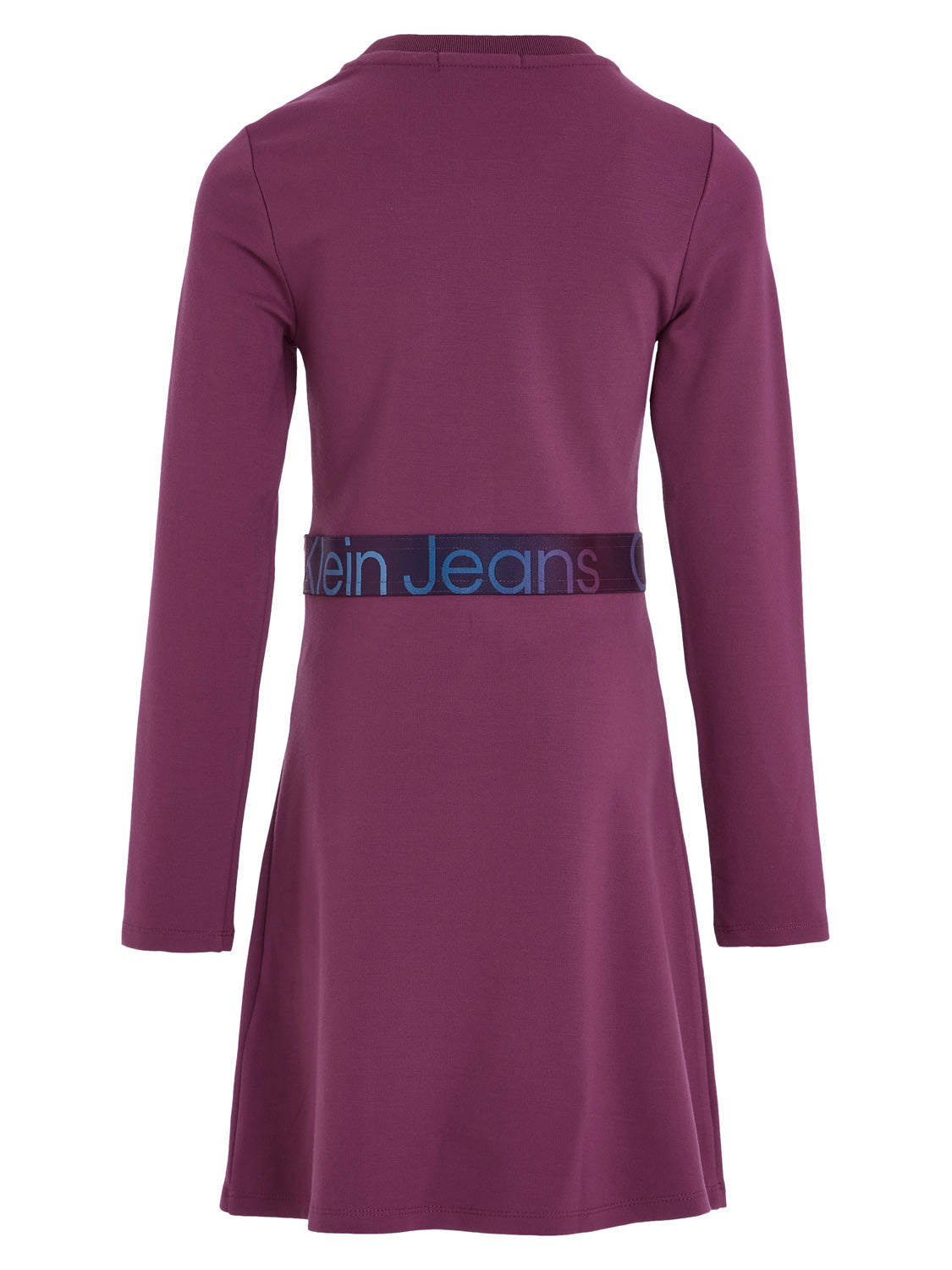 Calvin Klein Kids dress Purple in Purple 1690467456-6802666418-4.jpg | NICKIS.com