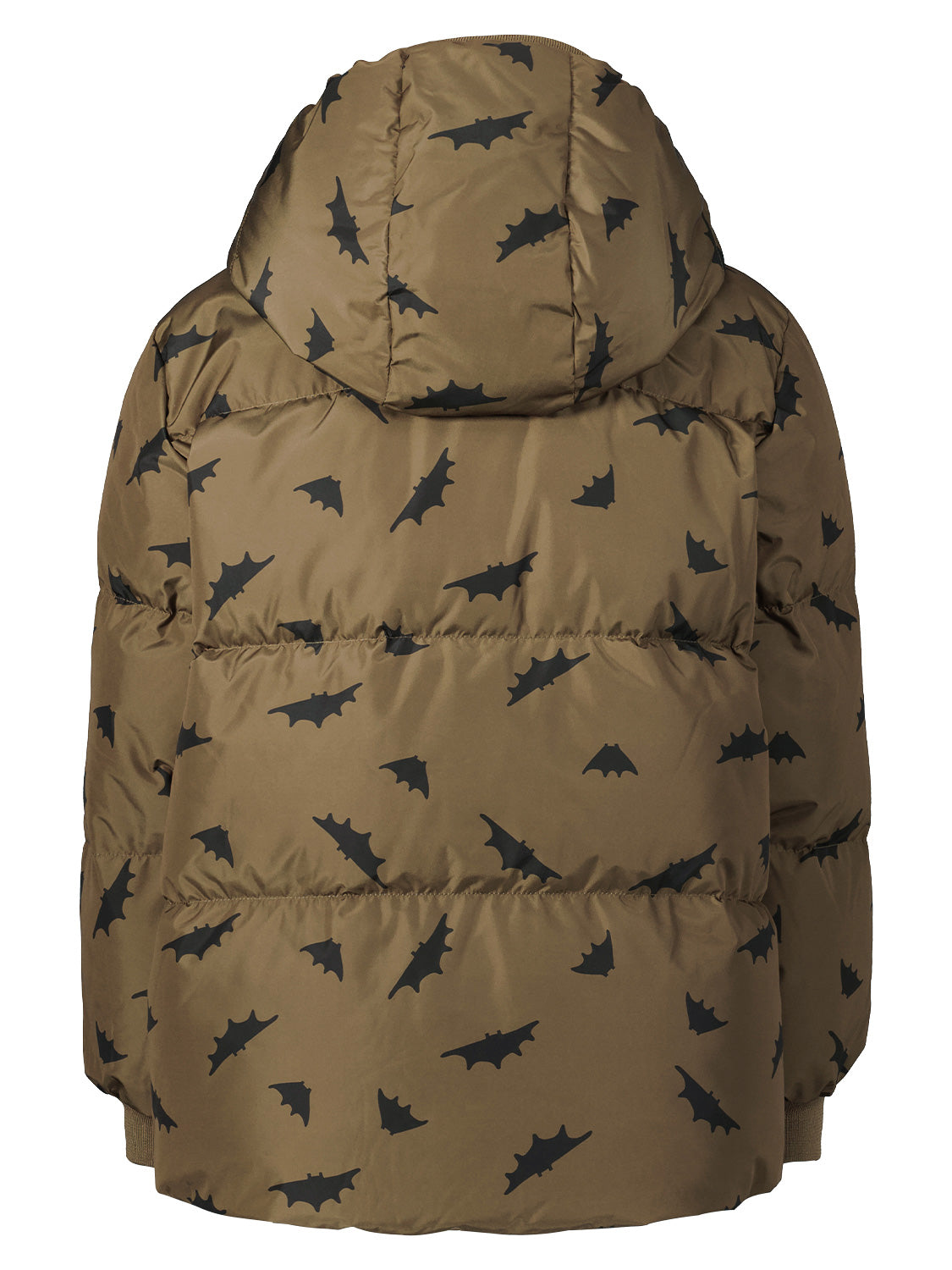 LIEWOOD Kids winter jacket Palle Khaki in Khaki 1693497474-6805587799-4.jpg | NICKIS.com