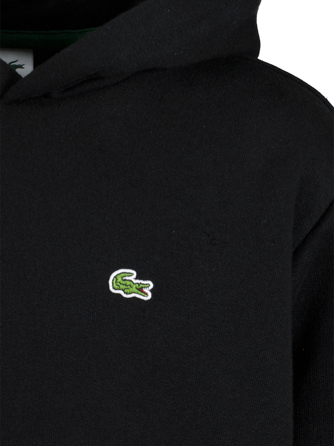 Lacoste Kids hoodie  in  1695139302-6804205696-5.jpg | NICKIS.com