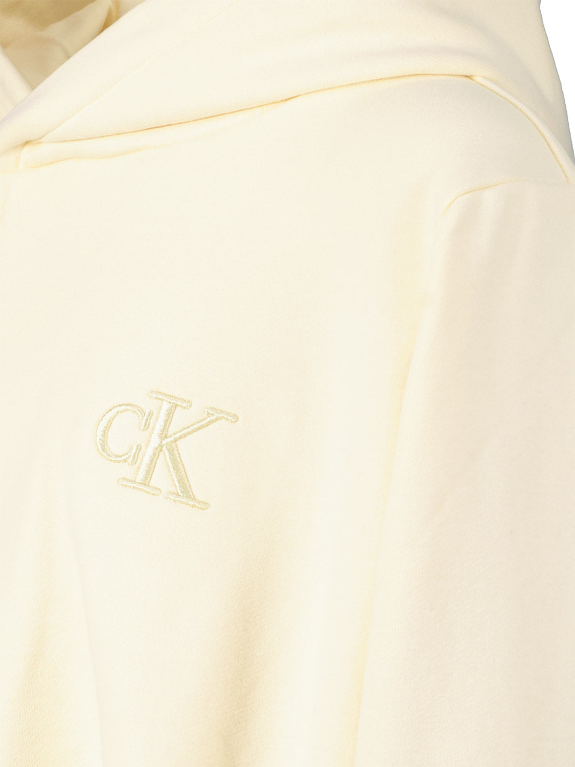 Calvin Klein Kids hoodie  in  1703169072-6900024341-5.jpg | NICKIS.com