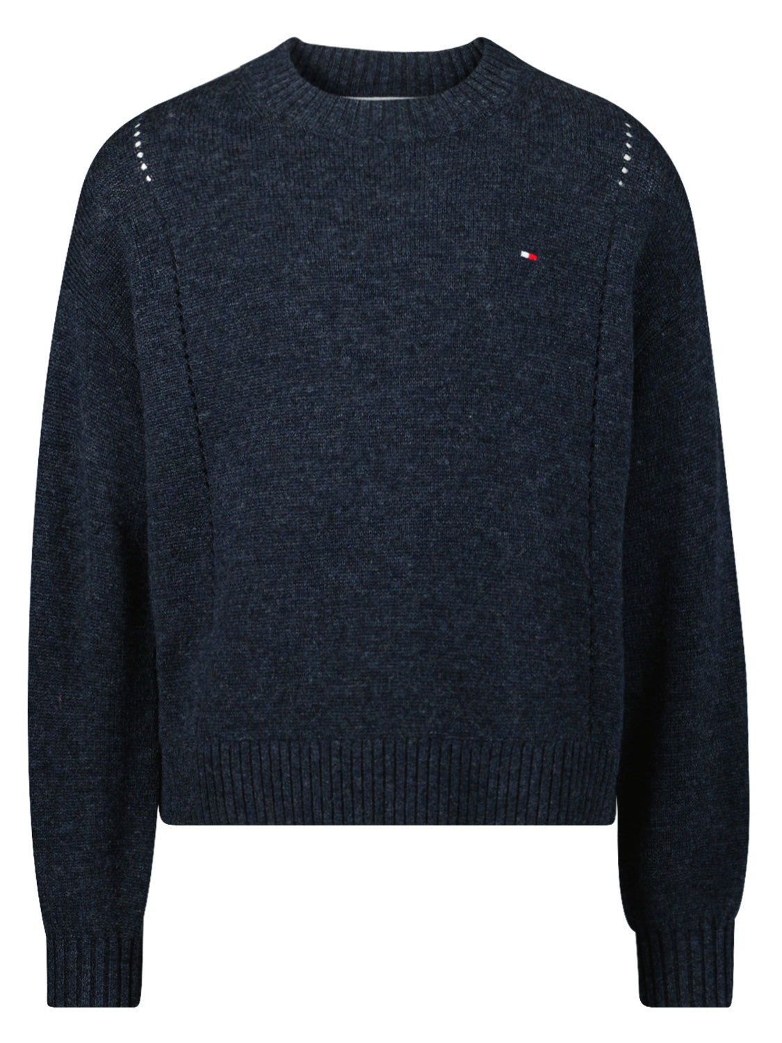 Tommy Hilfiger Kids Sweaters  in  1704806989-6806786029-1.jpg | NICKIS.com