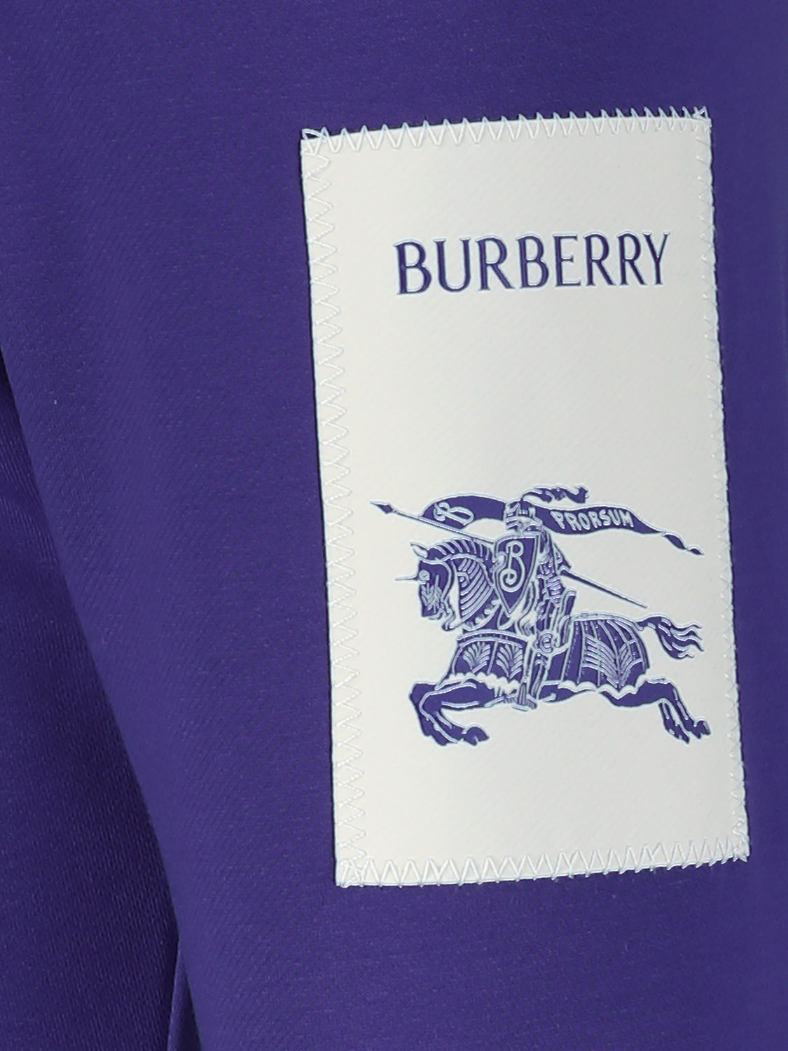 Burberry Kids sweatpants Sidney Blue in Blue 1708427564-6902722231-6.jpg | NICKIS.com