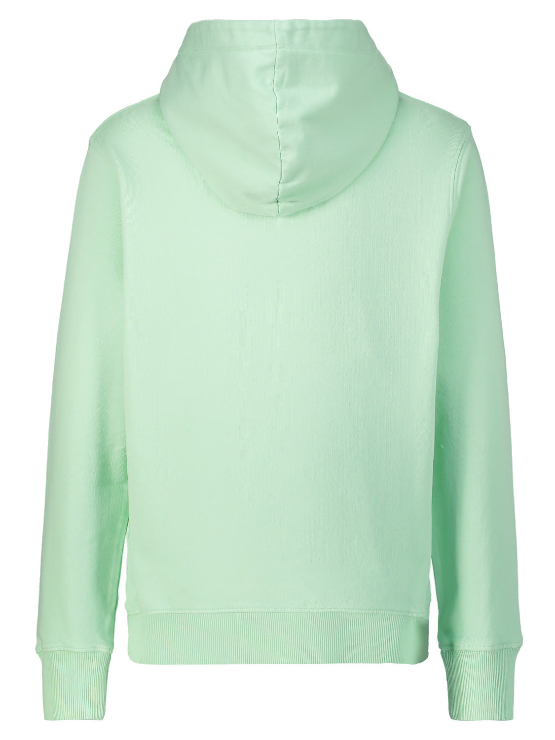 Pepe Jeans Kids hoodie New Davide Mint Green in Mint Green 1709541107-6906899969-5.jpg | NICKIS.com