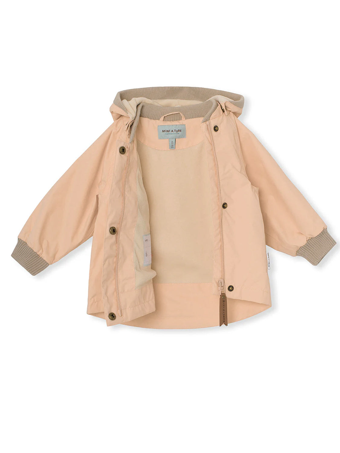 jacket Apricot