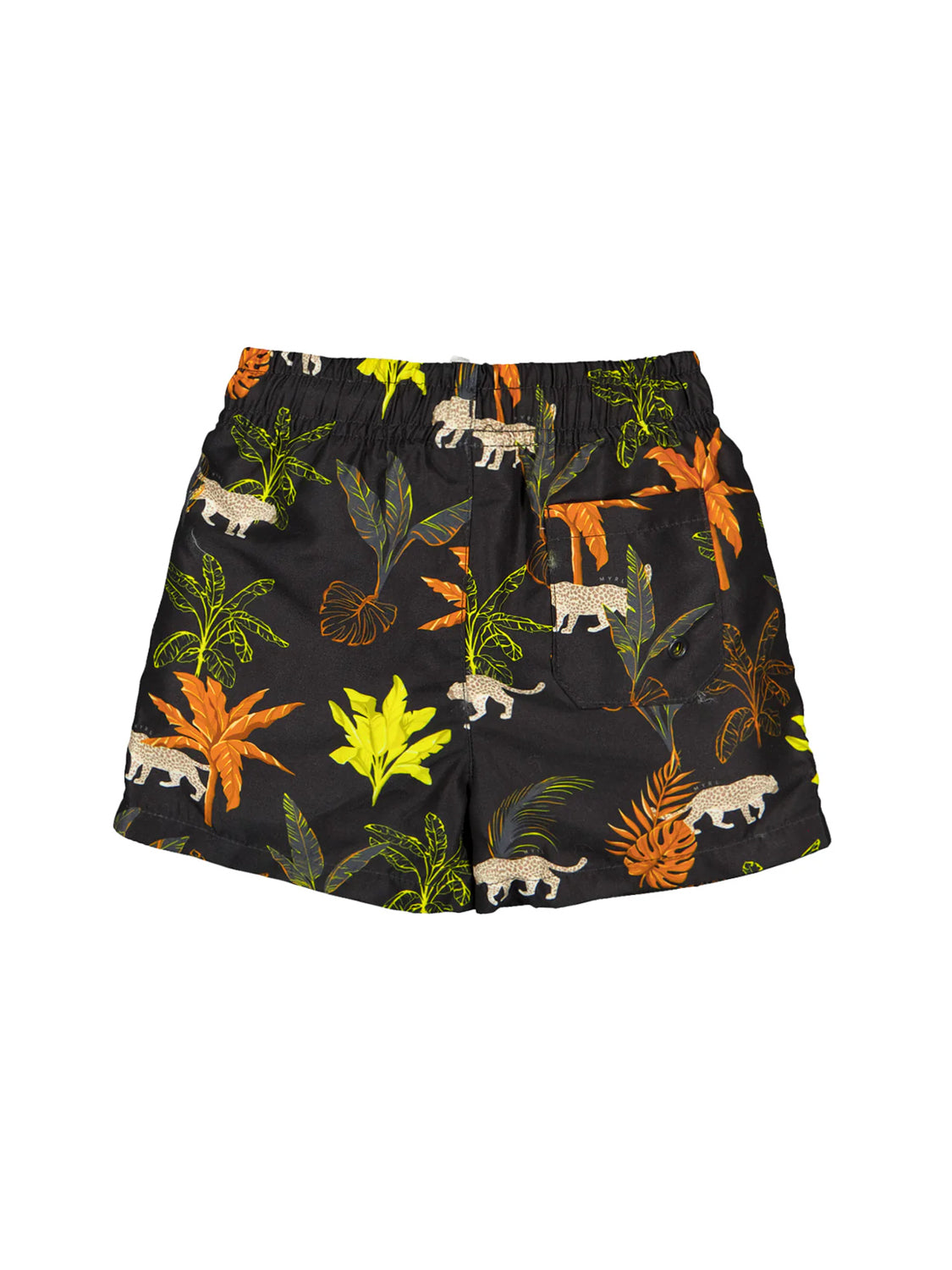 swim shorts Anthracite Grey