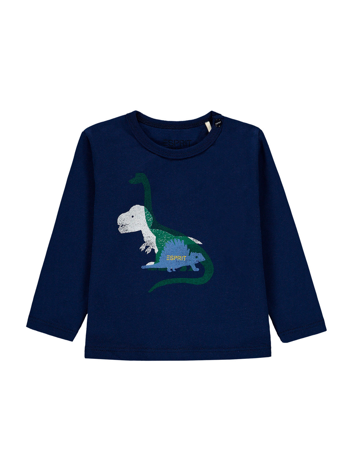 3503158769-1.jpg
