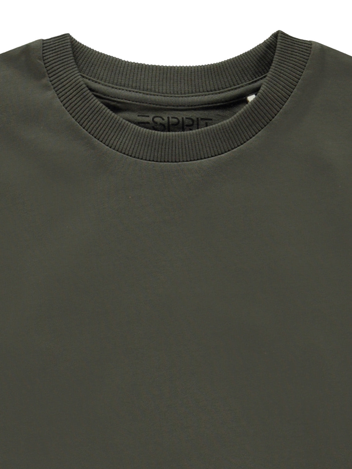 3503795270-7.jpg