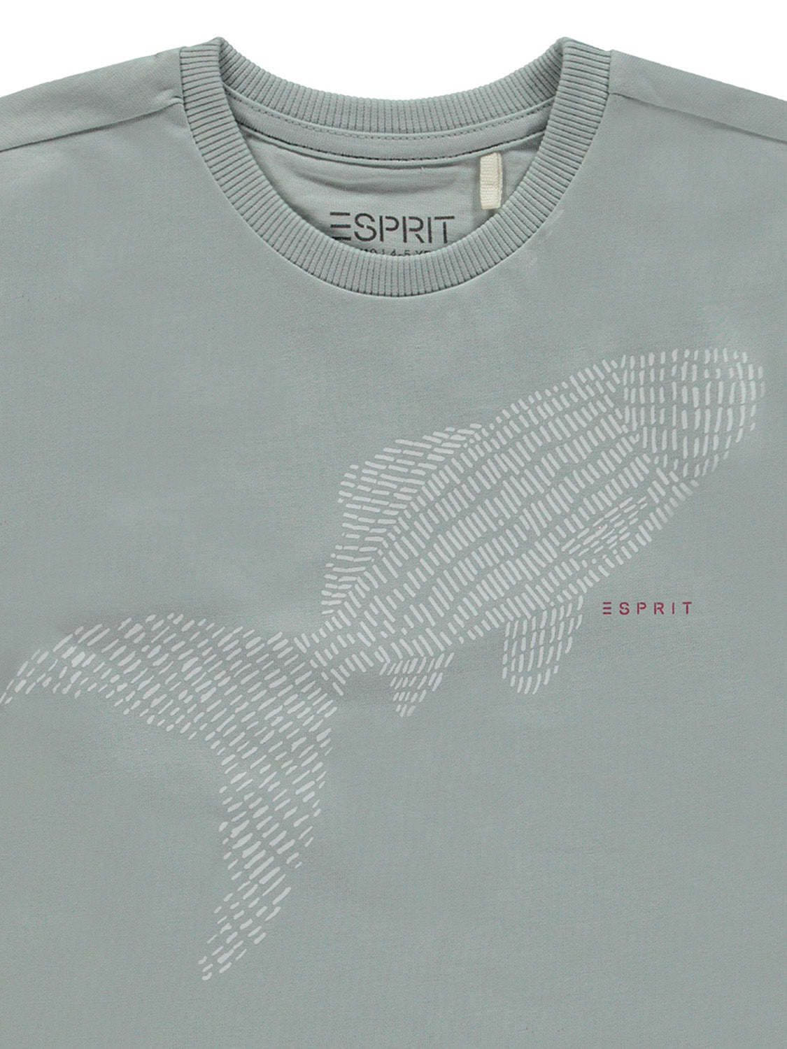 3503943012-7.jpg