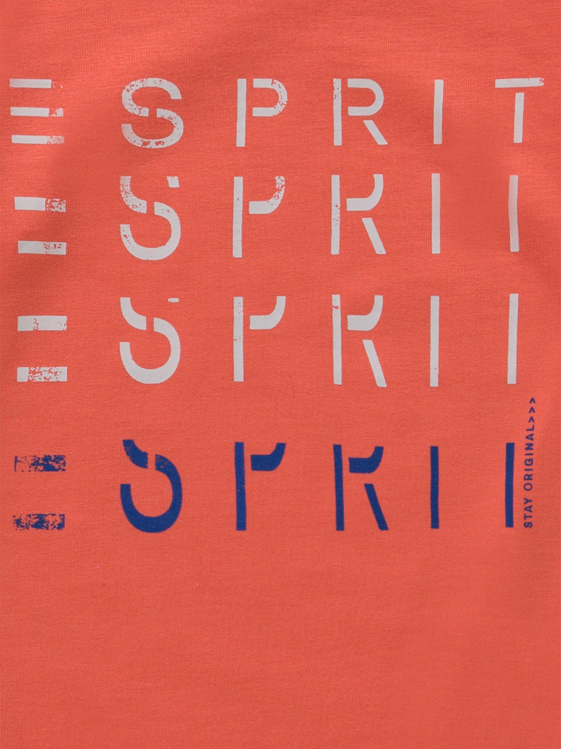 3504604804-3.jpg