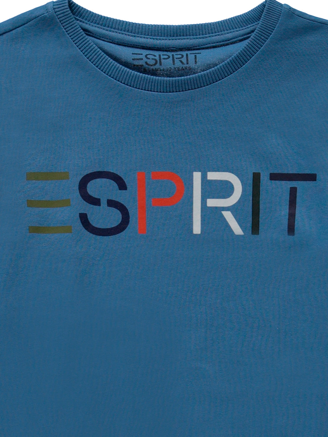 3504677490-3.jpg
