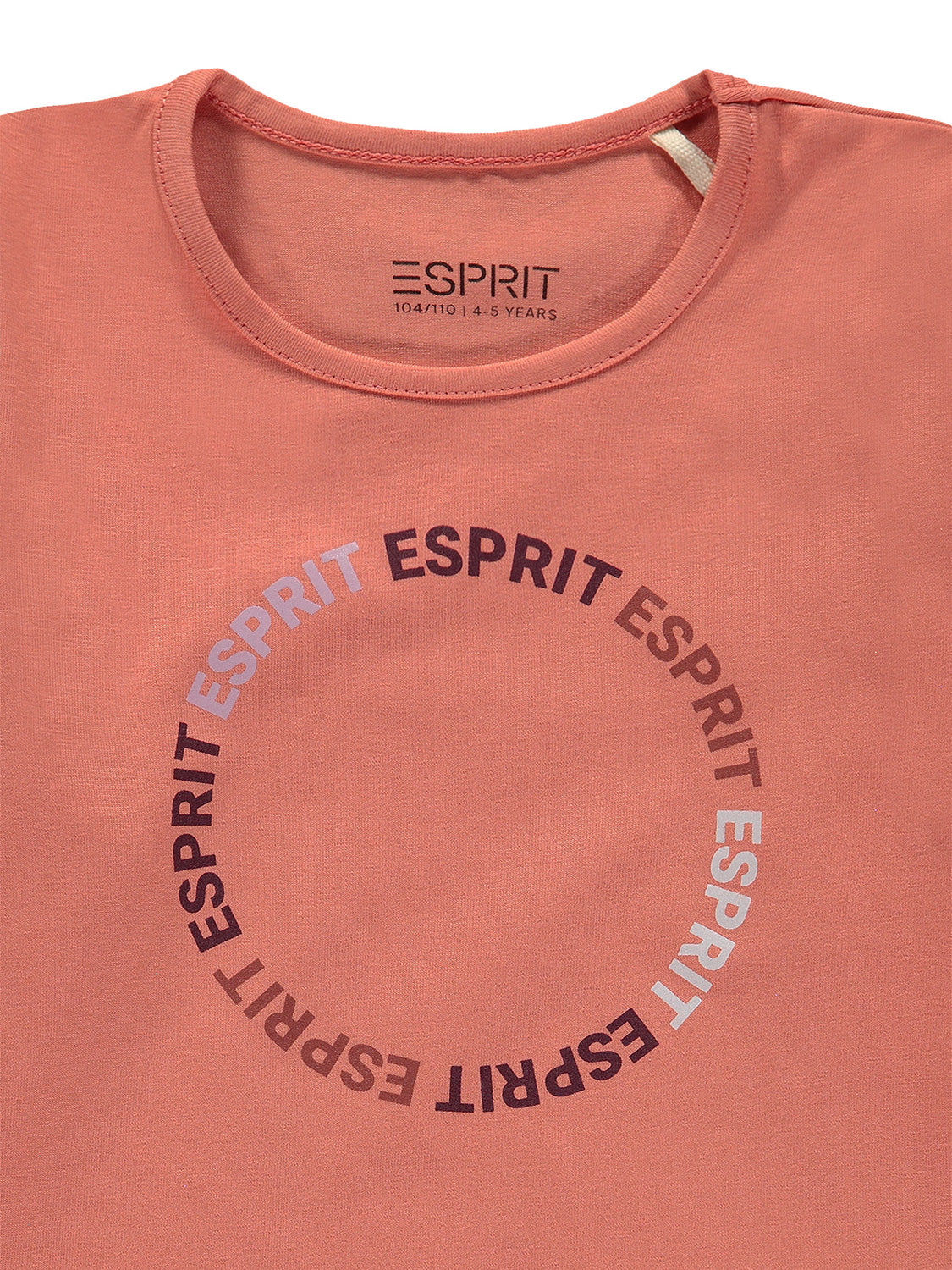 3506980245-3.jpg