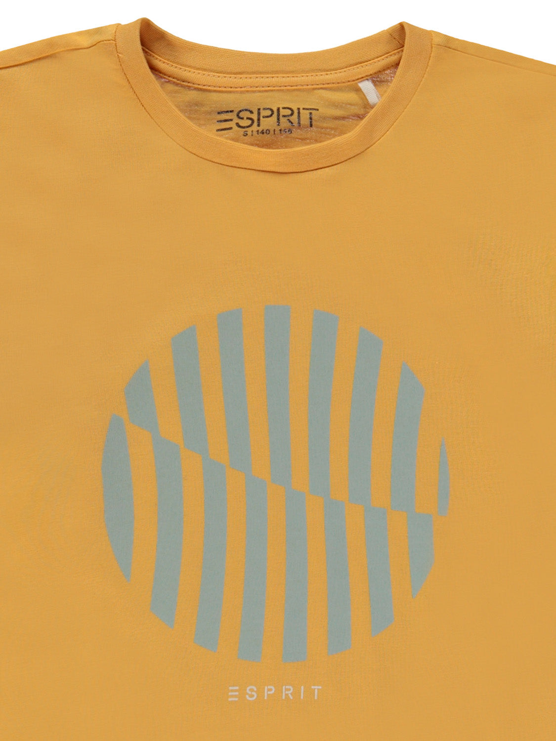3508611204-7.jpg