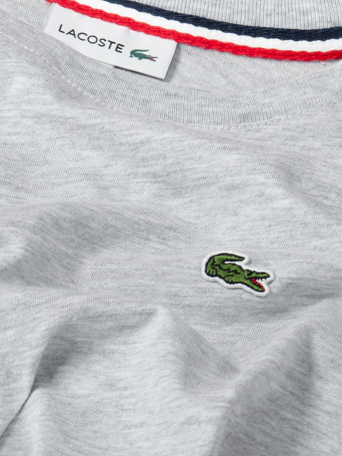 Lacoste Kids t-shirt Grey in Grey 561003449-5.jpg | NICKIS.com