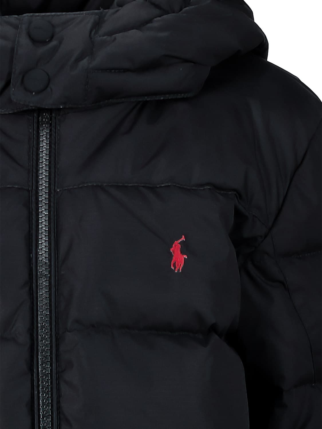 Polo Ralph Lauren Kids Down Jacket  in  6609391963-6.jpg | NICKIS.com