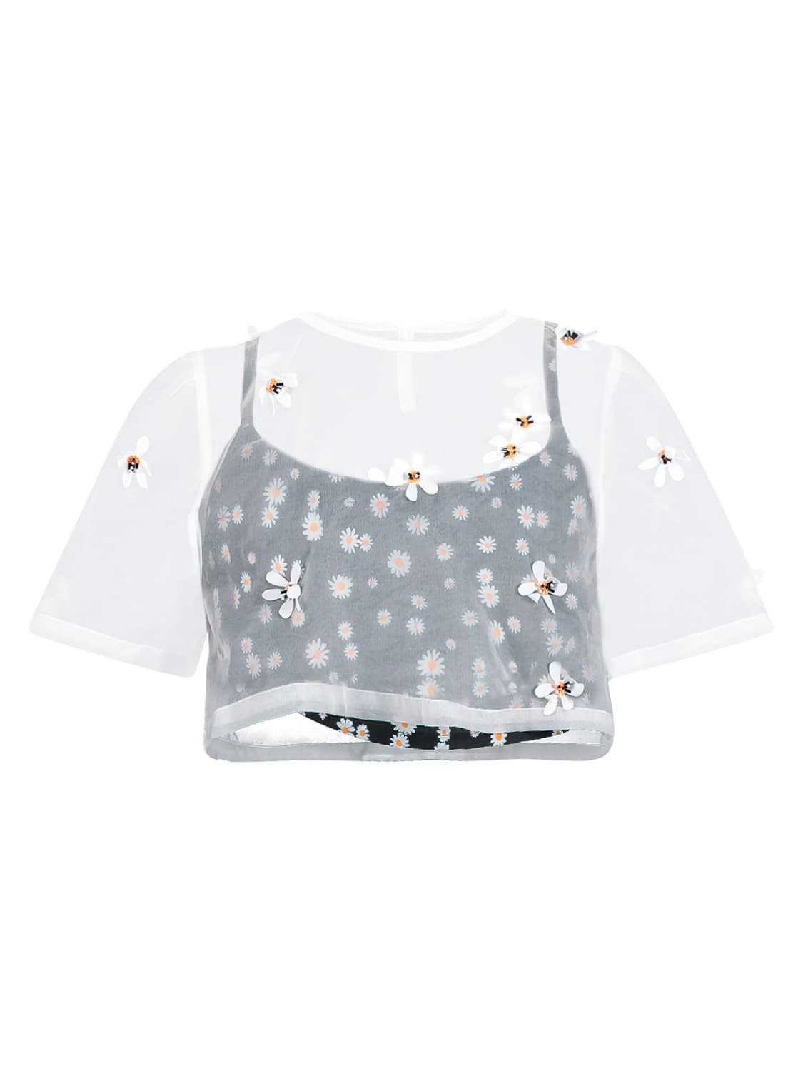 LES COYOTES DE PARIS Kids top  in  6703070274-1.jpg | NICKIS.com