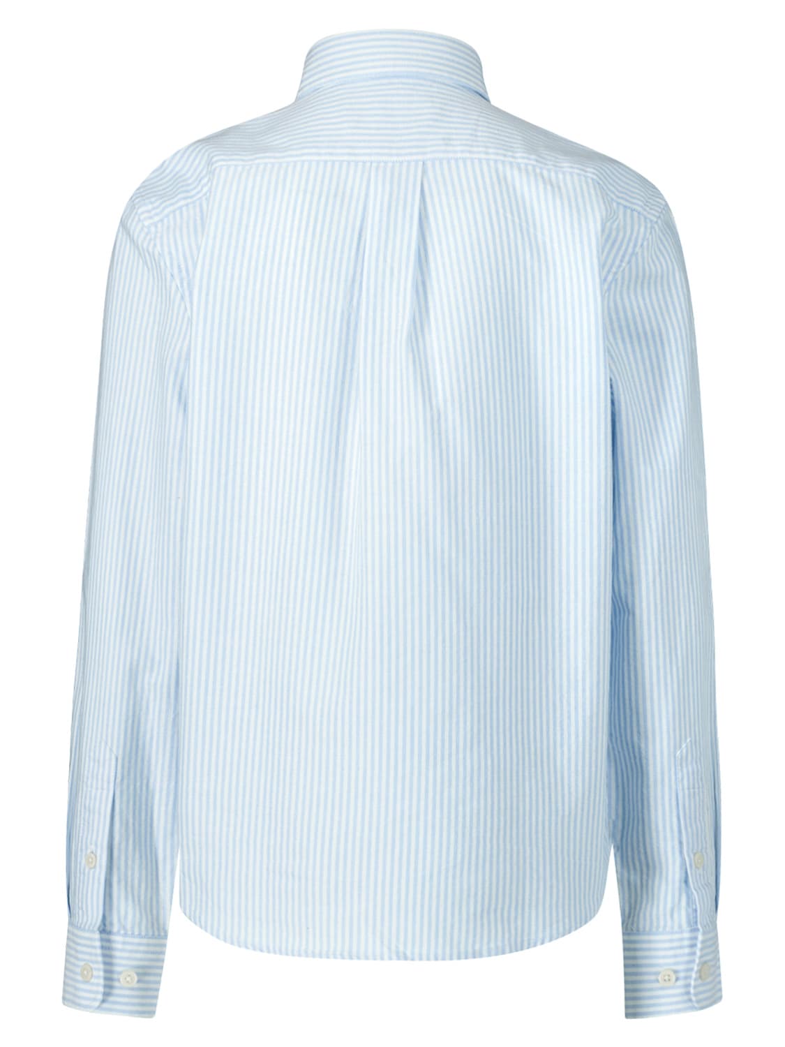 Hackett London Kids shirt  in  6703398457-5.jpg | NICKIS.com