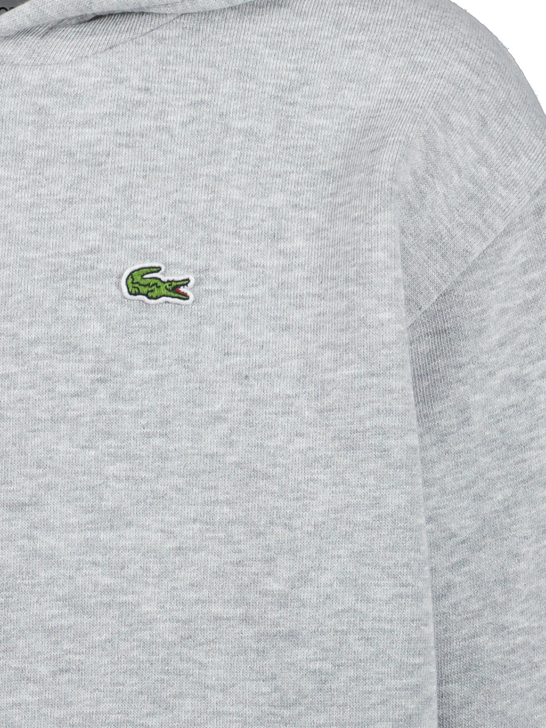 Lacoste Kids hoodie Grey in Grey 6704030807-5.jpg | NICKIS.com