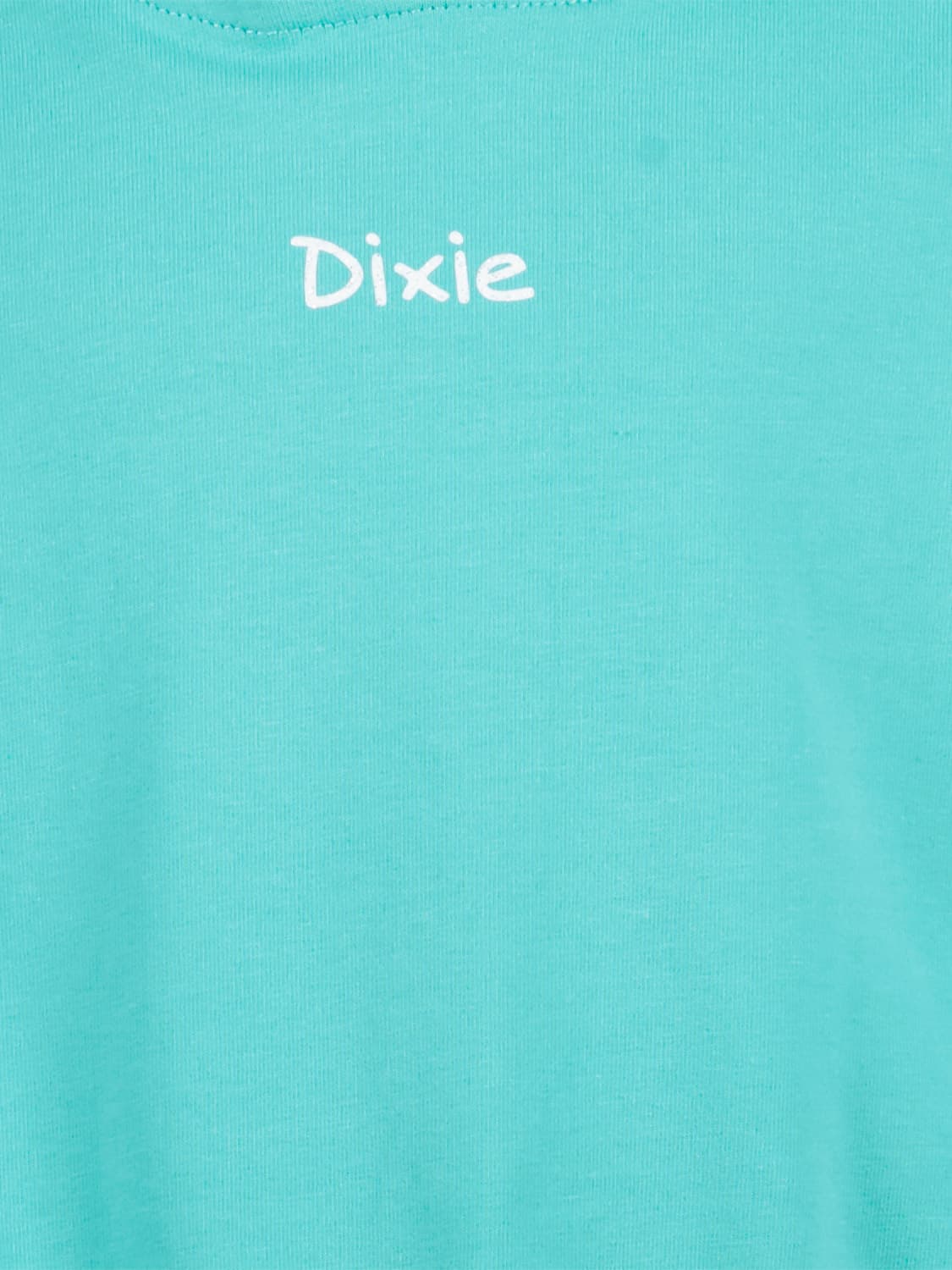 Dixie Kids hoodie Turquoise in Turquoise 6705532475-5.jpg | NICKIS.com