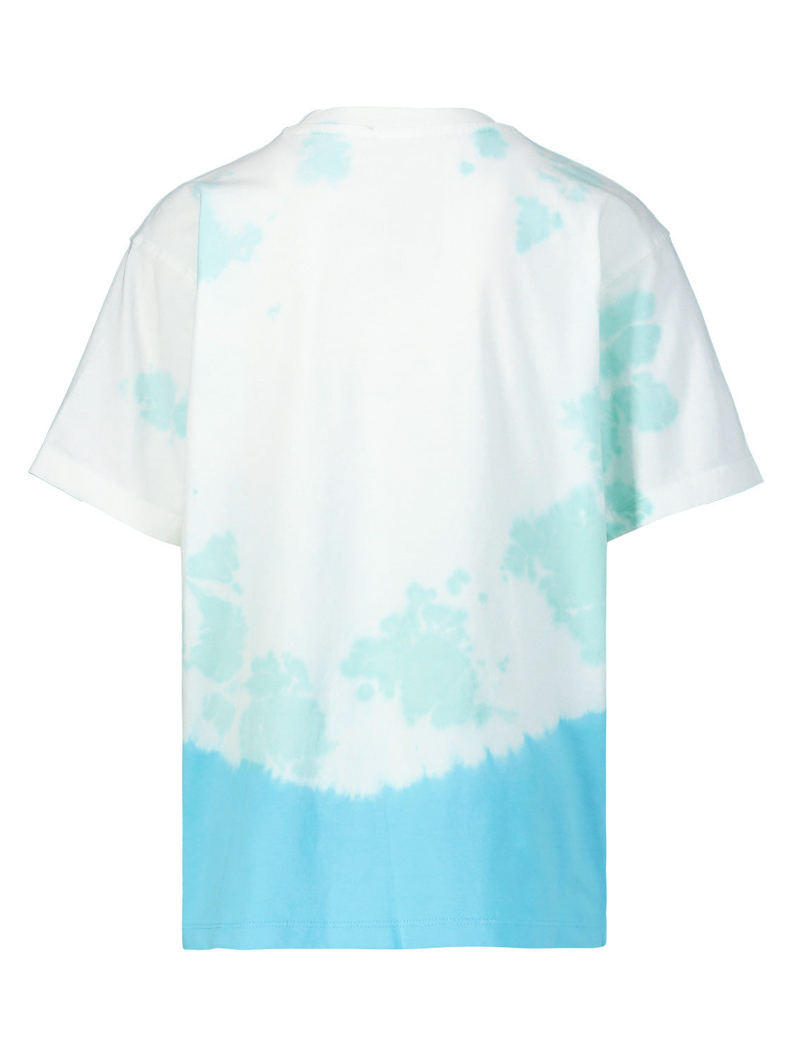 Vingino Kids t-shirt Hisa Mint Green in Mint Green 6709065317-4.jpg | NICKIS.com