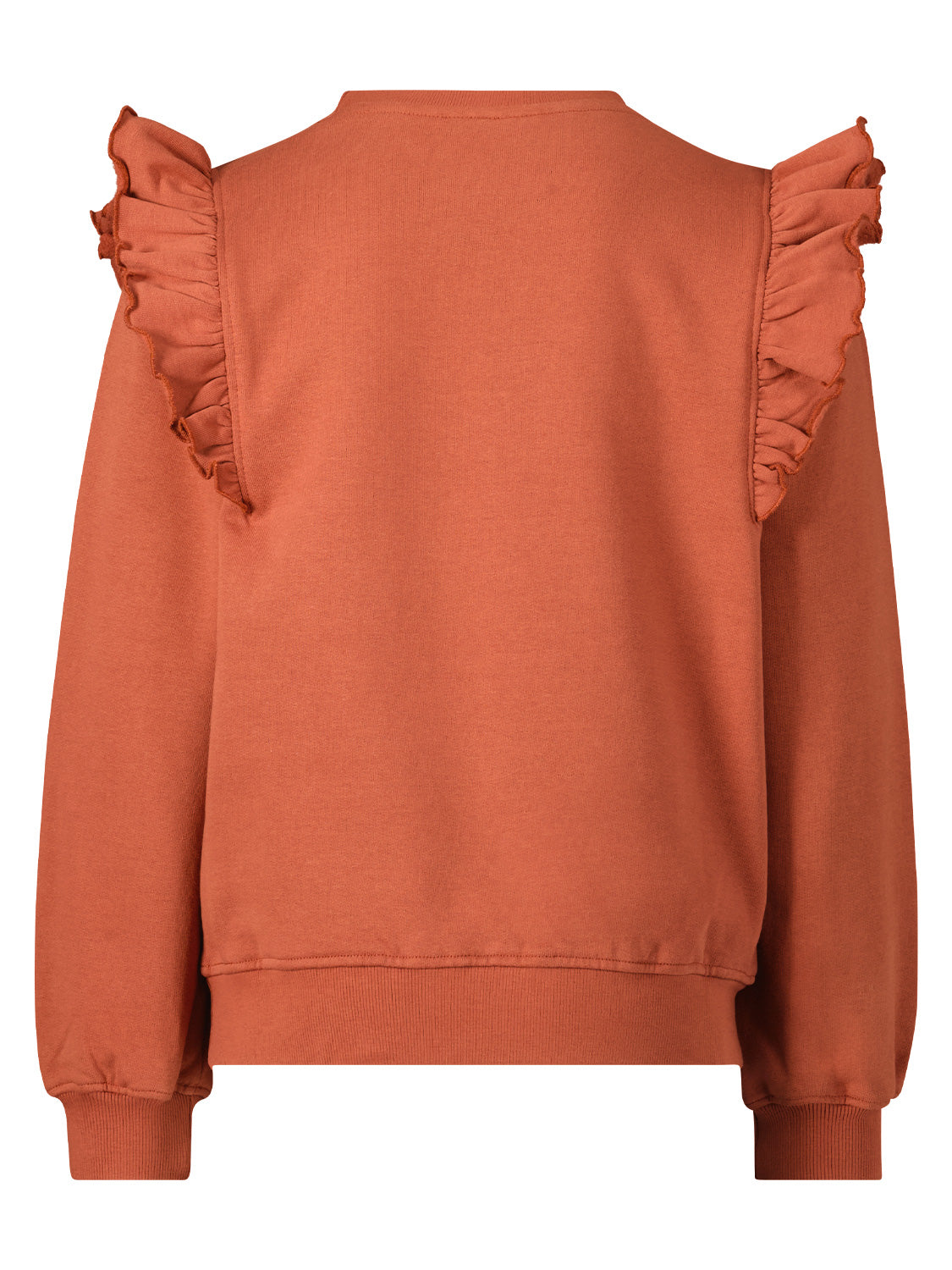 Soft Gallery Kids Sweatshirt Milas Brown in Brown 6801745888-5.jpg | NICKIS.com