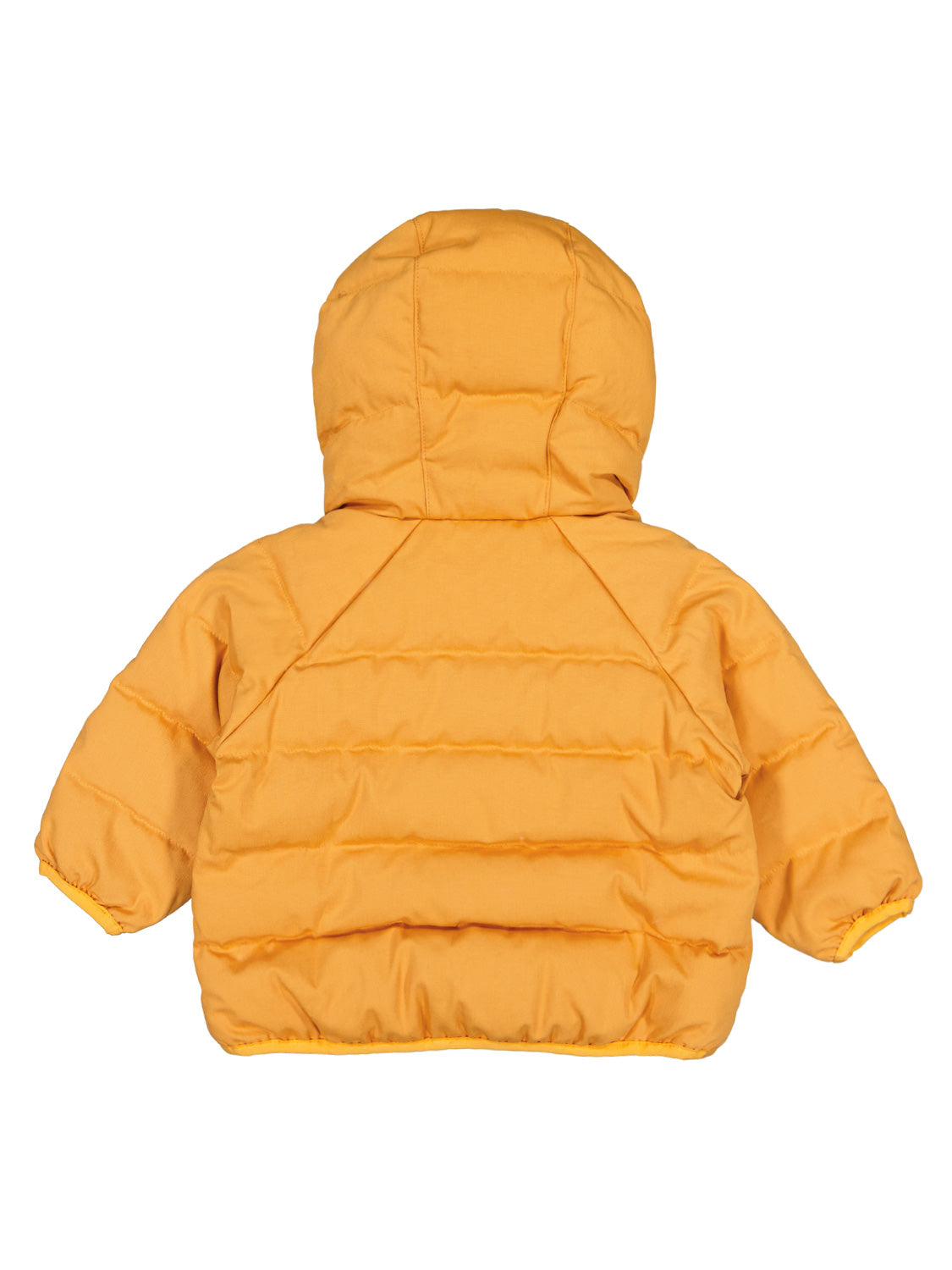 Patagonia Kids Down Jacket Yellow in Yellow 6803580856-6.jpg | NICKIS.com