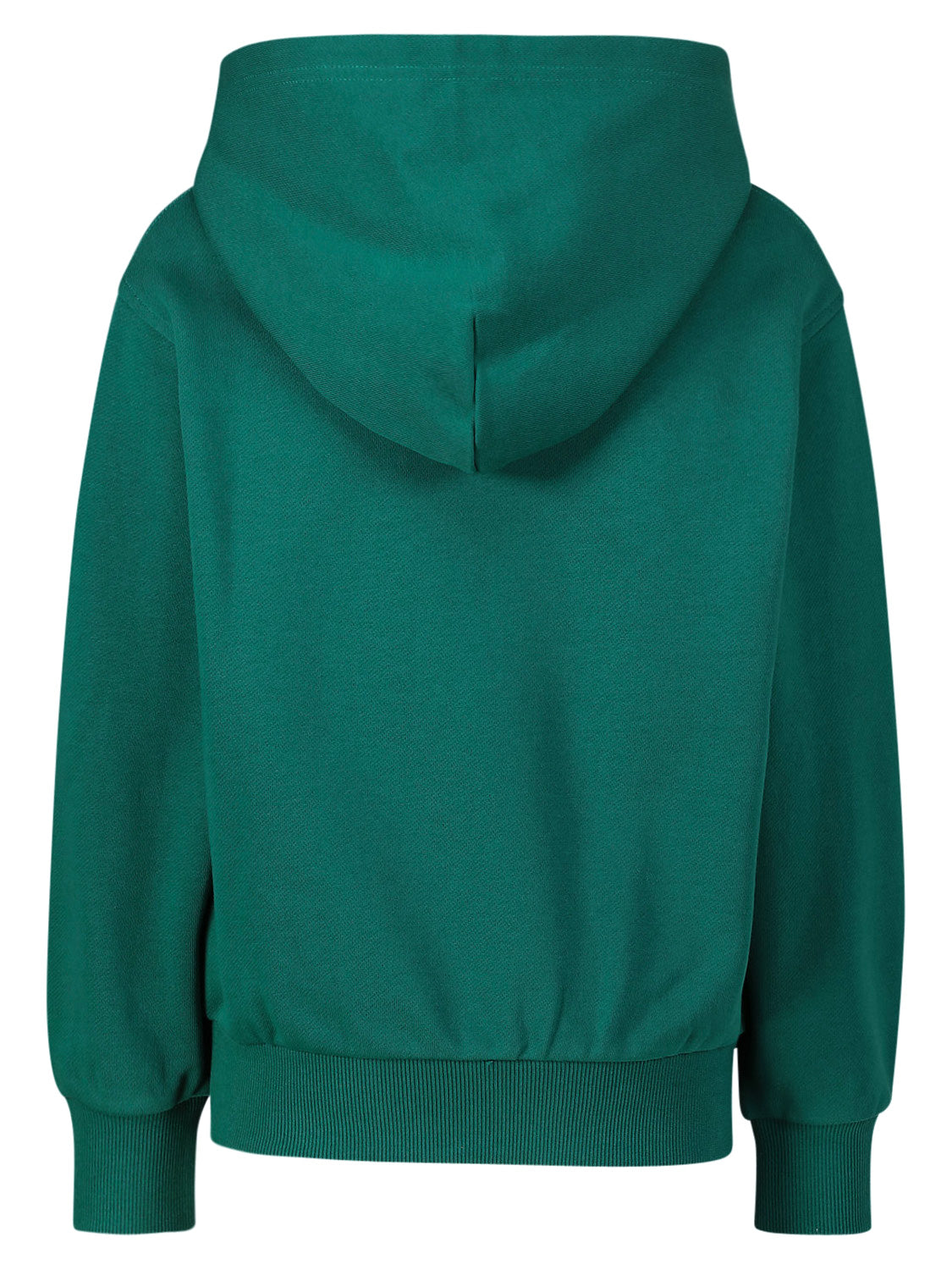 Diesel hoodie SHOODGINNE5 Green boys