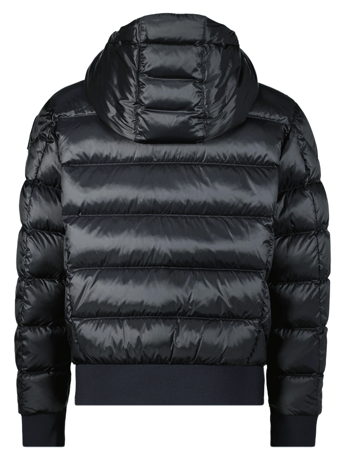 Parajumpers Kids Down Jacket Pharrell  in  6809628362-5.jpg | NICKIS.com