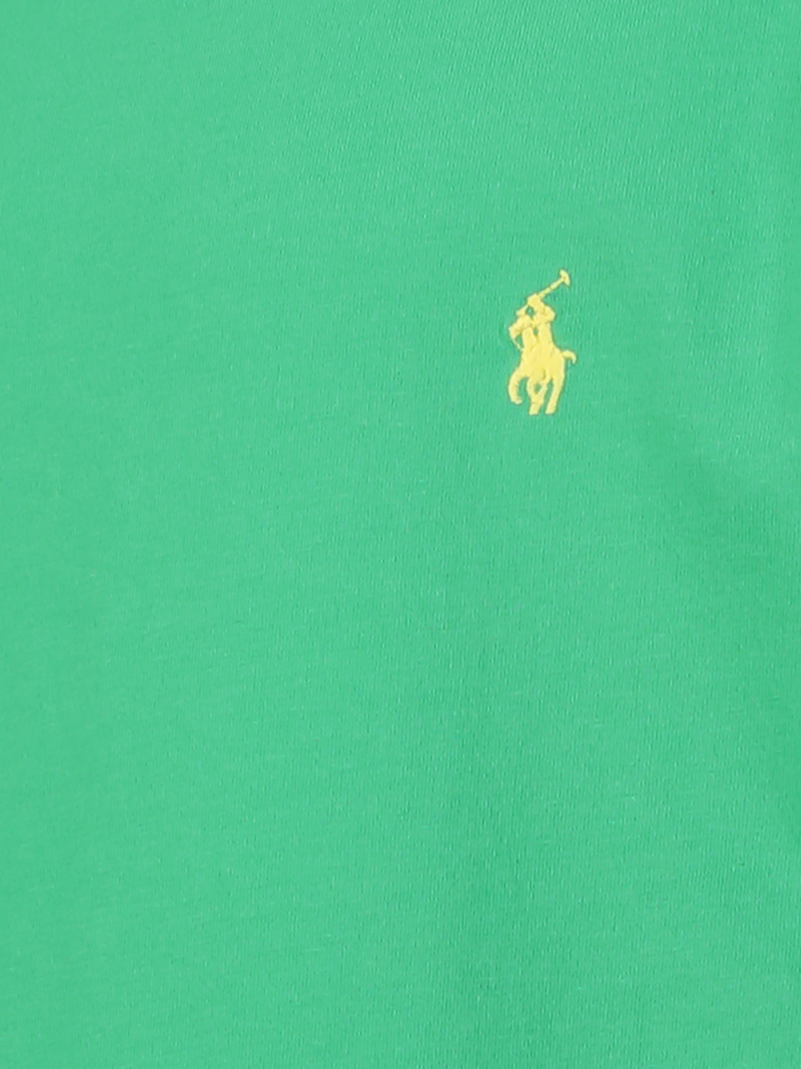 Polo Ralph Lauren Kids t-shirt  in  6900000083-5.jpg | NICKIS.com